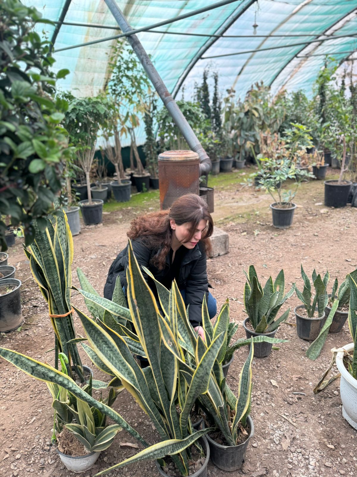 Bakhihanar Gallery Image